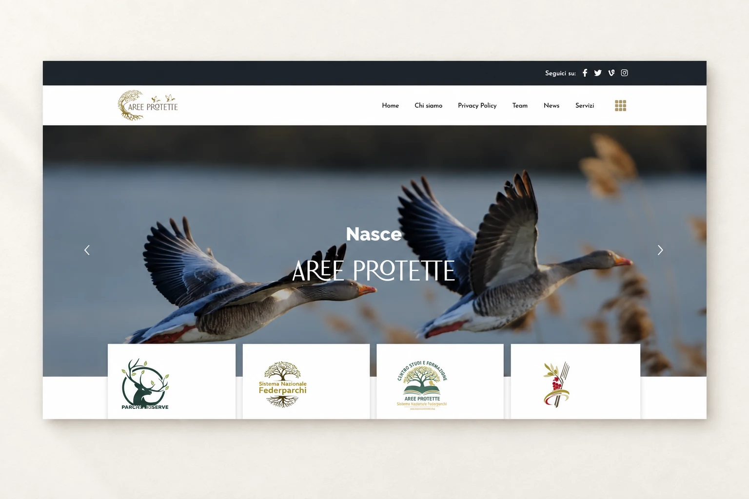 Website preview Aree Protette